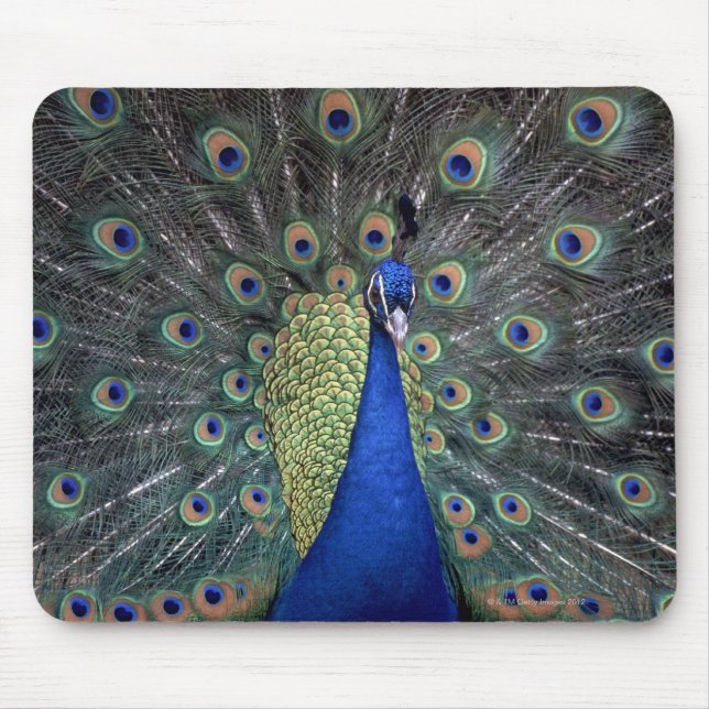 Mousepad Peacock (Frente)