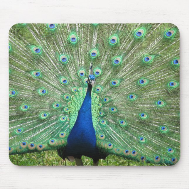 Mousepad - Peacock (Frente)