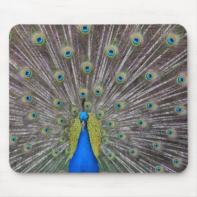 Mousepad Peacock (Frente)