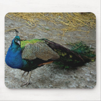 Mousepad Peacock