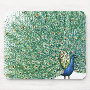 Mousepad Peacock bonito