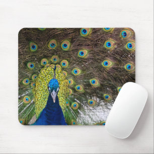 Mousepad Peacock Feather