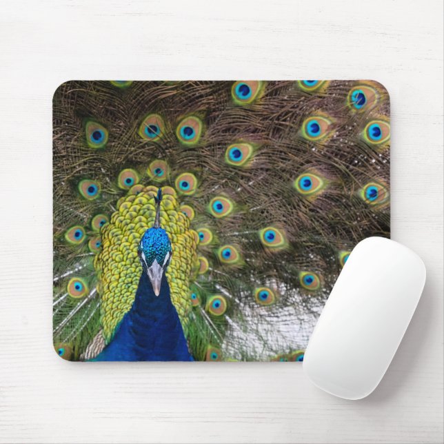 Mousepad Peacock Feather (Com mouse)