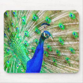 Mousepad Peacock Plumage