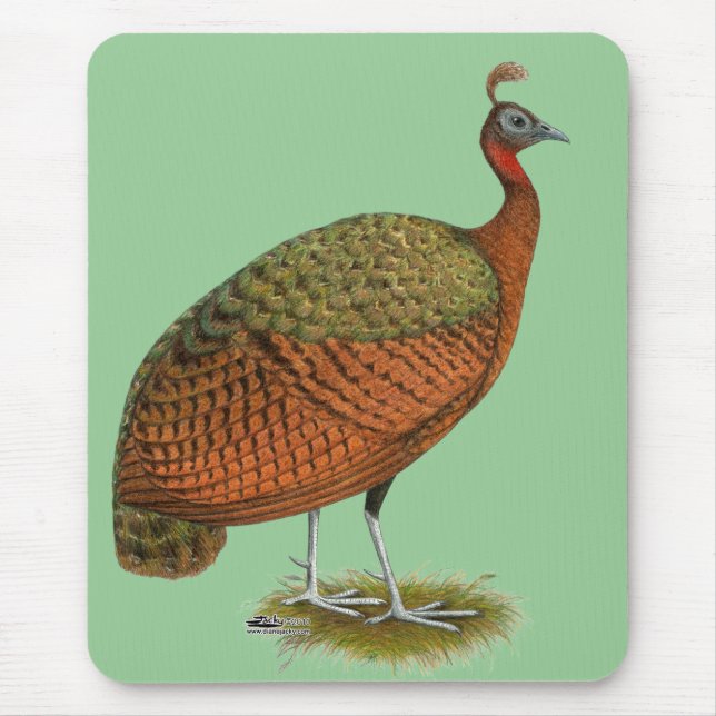 Mousepad Peafowl do Congo (Frente)