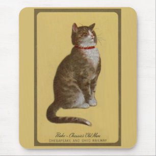 Mousepad Peake, gato de gato malhado do tomcat do ancião d