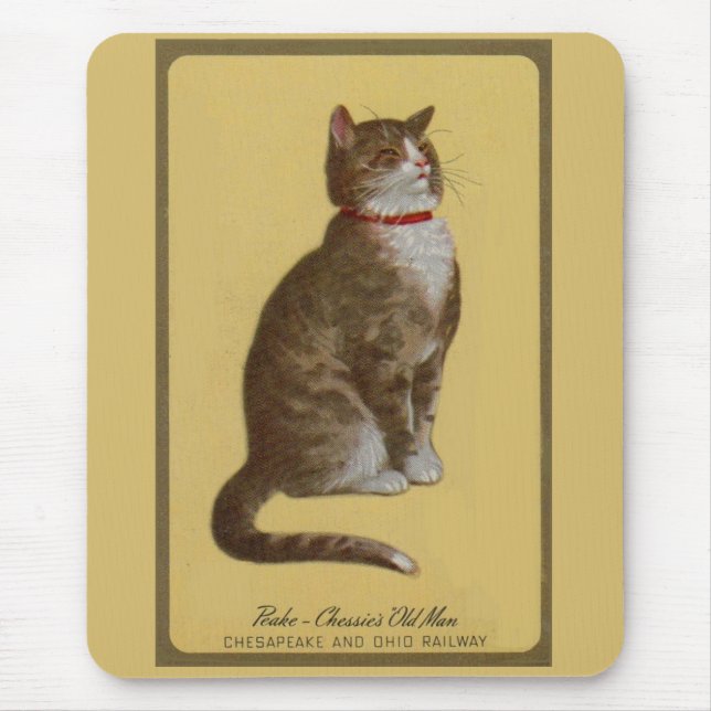 Mousepad Peake, o Velho Homem de Chessie tomcat (Frente)