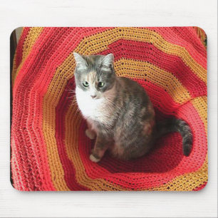 Mousepad Pearl Cat no Afeganistão