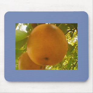 Mousepad Peça grande