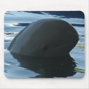 Mousepad Peekaboo do golfinho de Irrawaddy