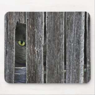 Mousepad Peepin Tom