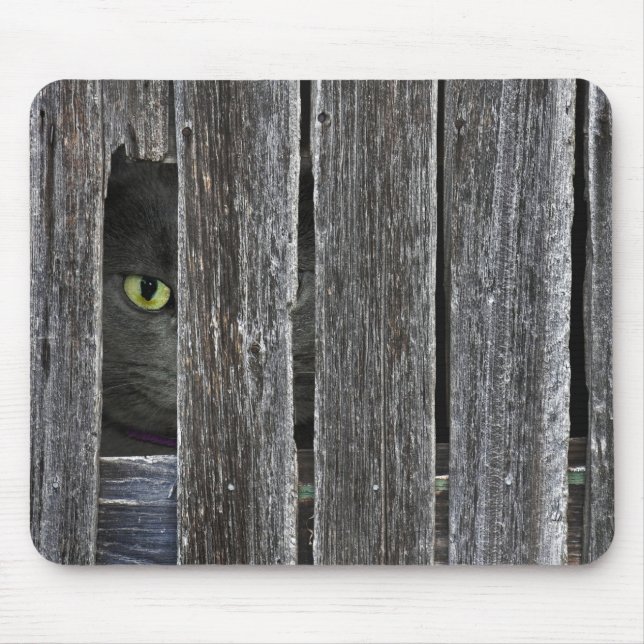 Mousepad Peepin Tom (Frente)