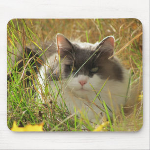 Mousepad Pegando sol.