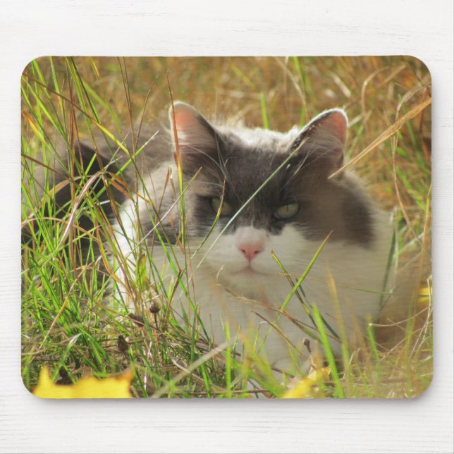 Mousepad Pegando sol. (Frente)