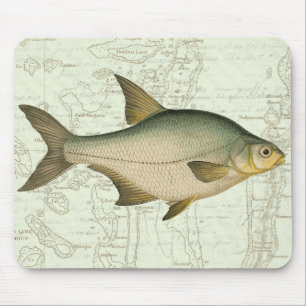 Mousepad Peixe água fresca no Mapa