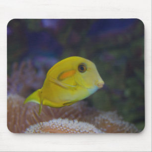 Mousepad Peixe Amarelo