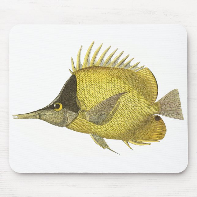 Mousepad Peixe Amarelo Tropical Chelmon Longirostris, Vinta (Frente)