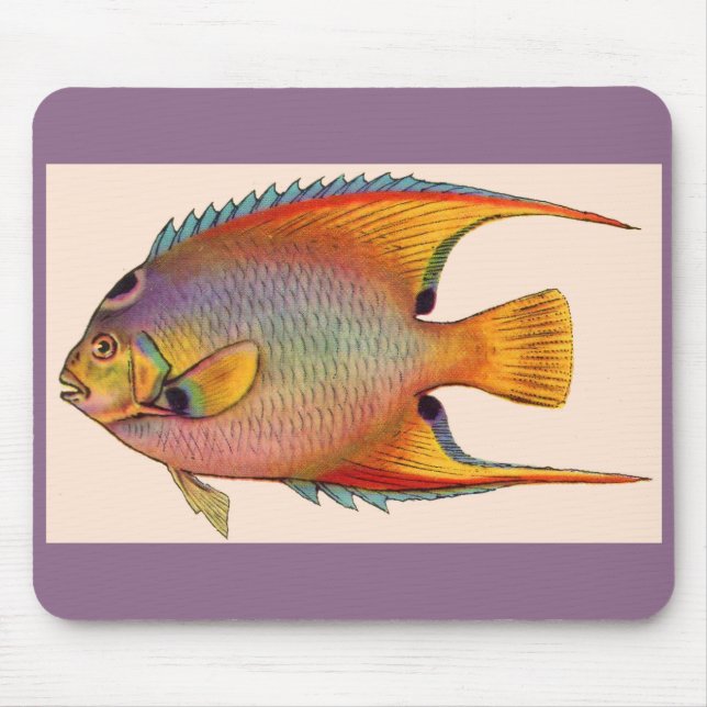 Mousepad peixe-anjo (Frente)