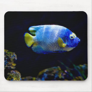 Mousepad Peixe-anjo de face azul, peixe, submarino