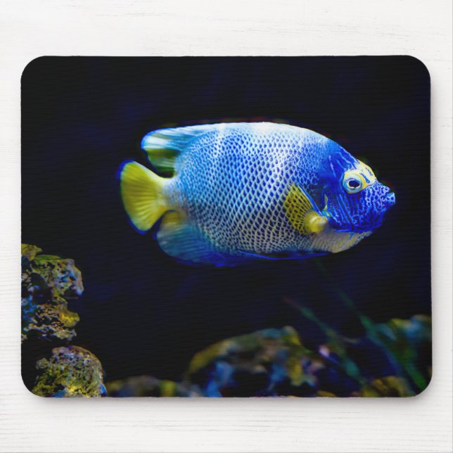 Mousepad Peixe-anjo de face azul, peixe, submarino (Frente)