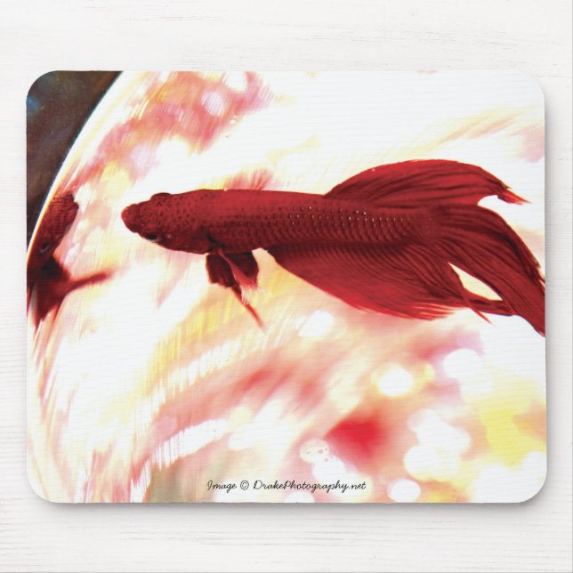 Mousepad Peixe-Betta Vermelho (Frente)