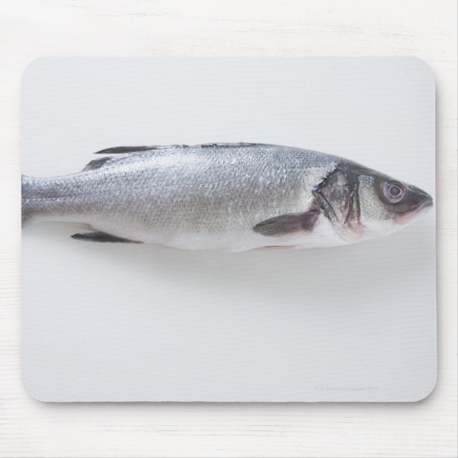 Mousepad Peixe-branzini inteiro (Frente)