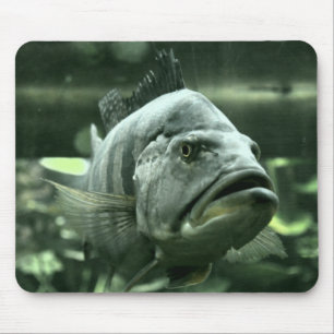 Mousepad Peixe de Aquário Feio