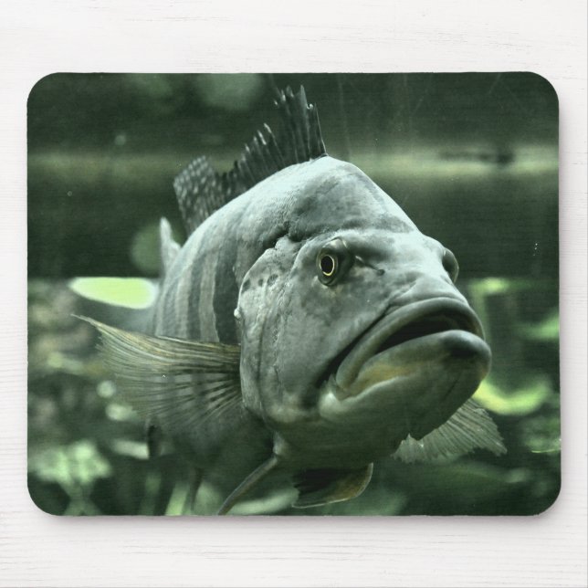 Mousepad Peixe de Aquário Feio (Frente)