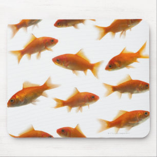 Mousepad Peixe dourado