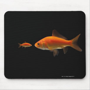 Mousepad Peixe dourado 3