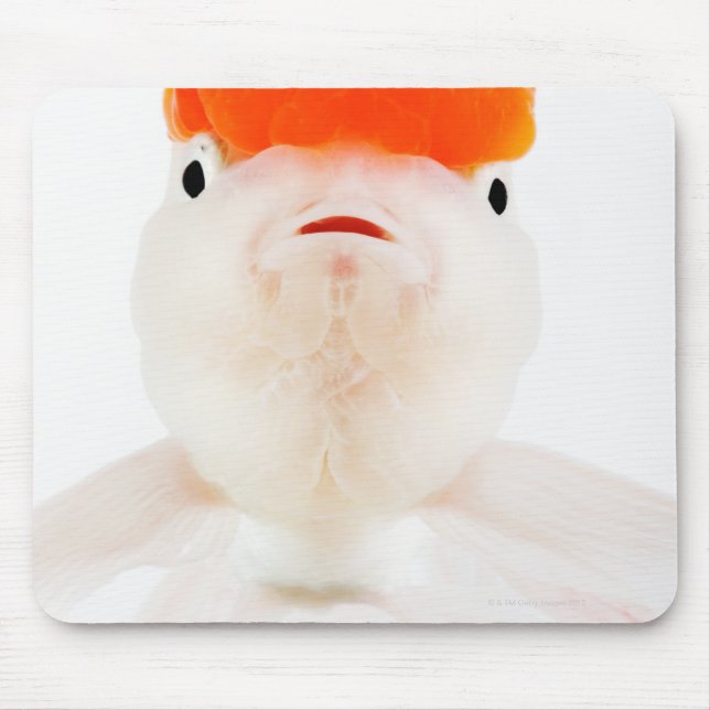 Mousepad Peixe-dourado-cabeça-vermelha (Carassius auratus) (Frente)