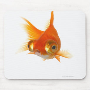 Mousepad Peixe dourado com olhos grandes