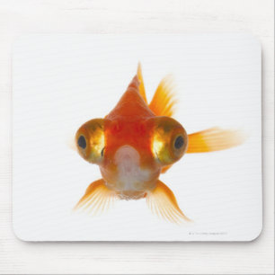 Mousepad Peixe dourado com olhos grandes 2