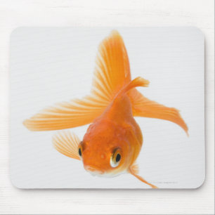 Mousepad Peixe dourado do Fantail (auratus do Carassius)