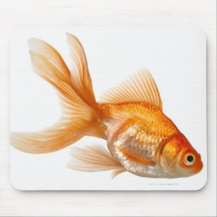 Mousepad Peixe dourado extravagante