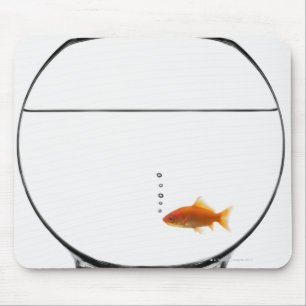 Mousepad Peixe dourado na bacia