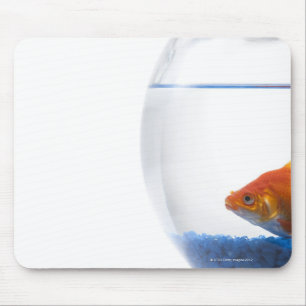 Mousepad Peixe dourado na bacia no fundo branco