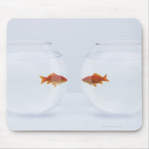 Mousepad Peixe dourado nos fishbowls separados que olham a