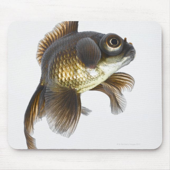 Mousepad Peixe-dourado-preto (Carassius auratus) 2 (Frente)