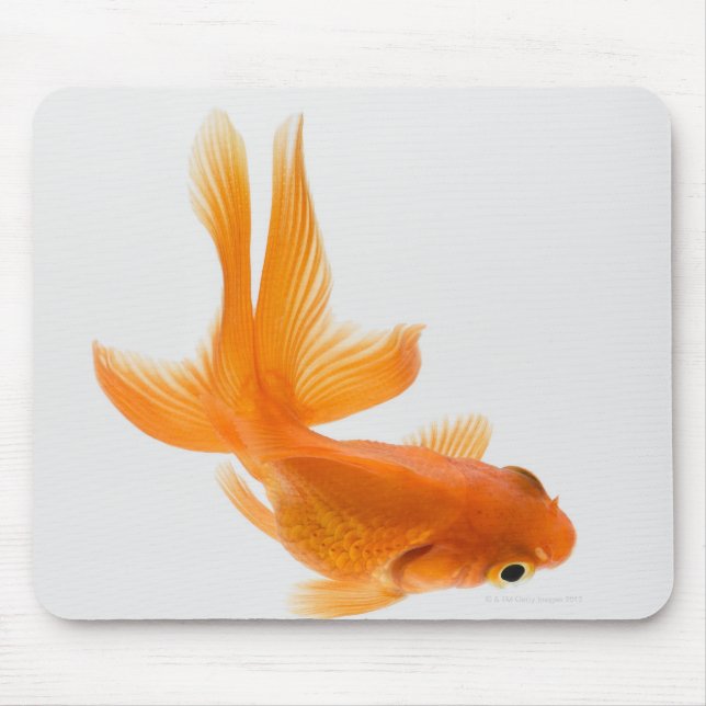 Mousepad Peixe-espada (Carassius auratus) 2 (Frente)