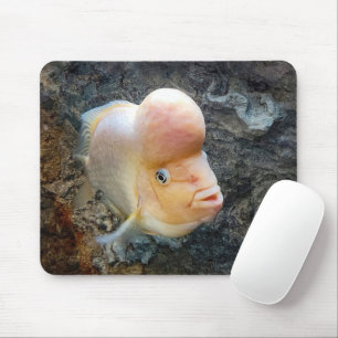 Mousepad Peixe-Flor