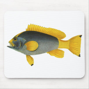 Mousepad Peixe garoupa azul e amarelo, vida marinha vintage