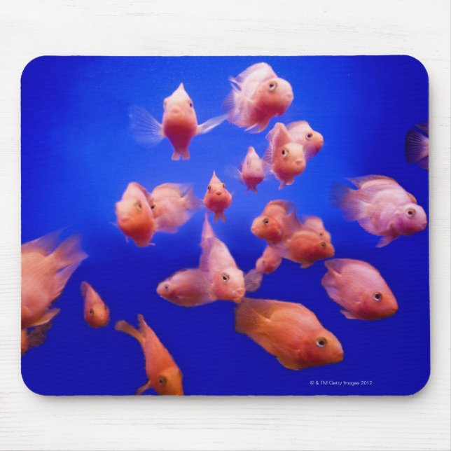 Mousepad Peixe-Goldfish 2 (Frente)