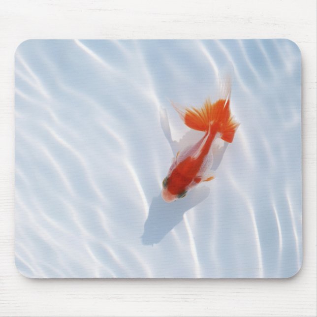 Mousepad Peixe-Goldfish 5 (Frente)