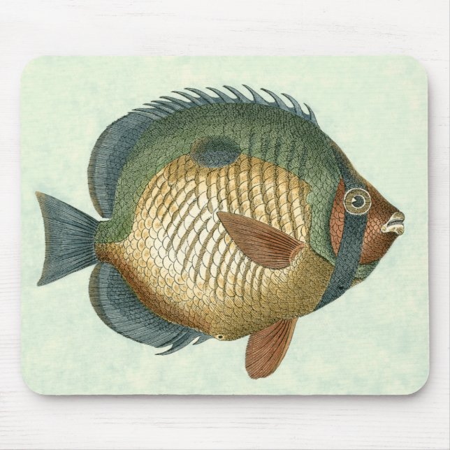 Mousepad Peixe Grande Colorido (Frente)