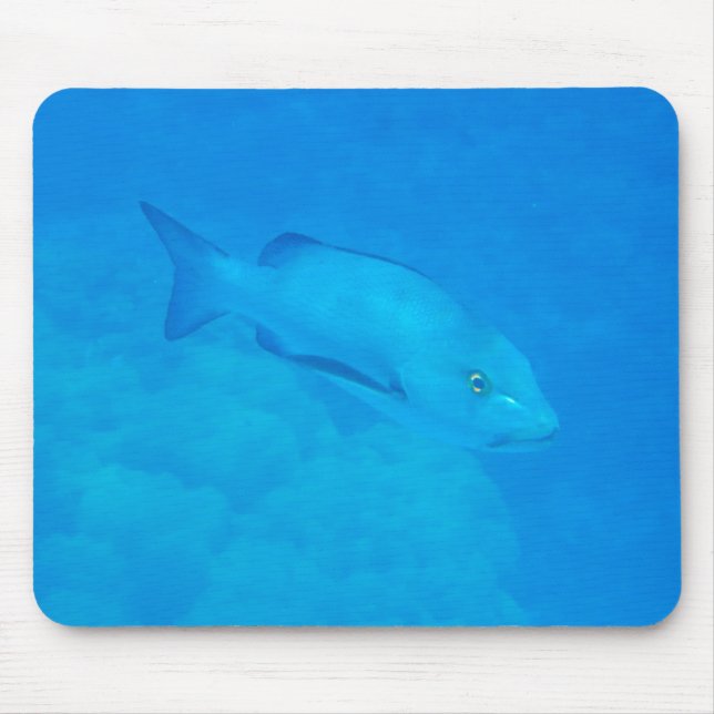 Mousepad Peixe-Instantâneo do Recipiente do Recipiente da B (Frente)