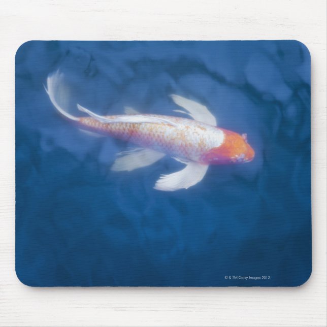 Mousepad Peixe koi japonês na lagoa, vista de alto ângulo (Frente)
