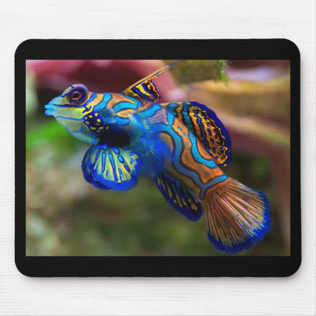 Mousepad Peixe Mandarino (Frente)