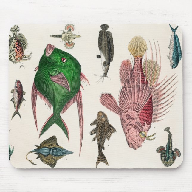 Mousepad peixe, oceano, fofo, mar, água, animais, pesca (Frente)