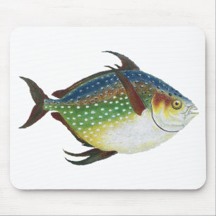 Mousepad Peixe Opah Tropical, Animal Aquático Marinho Vinta